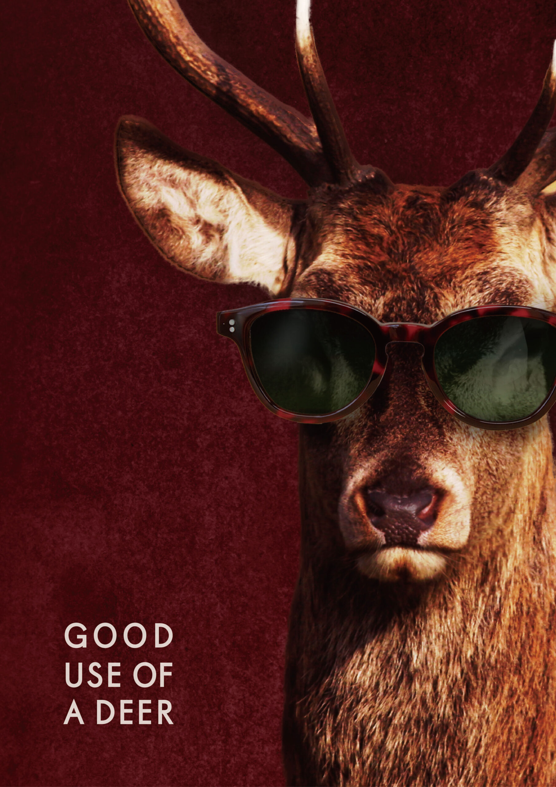 GOOD USE OF A DEER